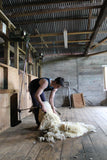 Palliser Ridge Shearing Singlet